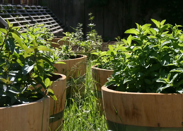 Casa de hóspedes St. Pierre 3*